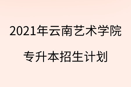 2021年云南藝術(shù)學(xué)院專(zhuān)升本招生計(jì)劃.png