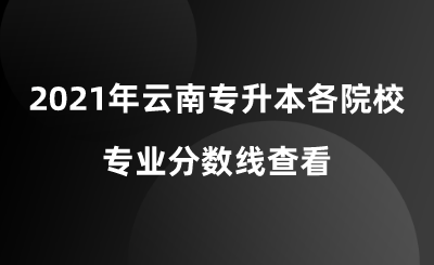 2021年云南專升本各院校專業(yè)分數(shù)線查看.png