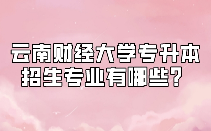 云南財經(jīng)大學專升本招生專業(yè)有哪些？.jpeg