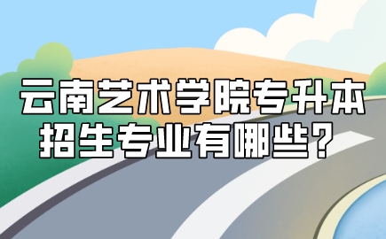 云南藝術(shù)學(xué)院專升本招生專業(yè)