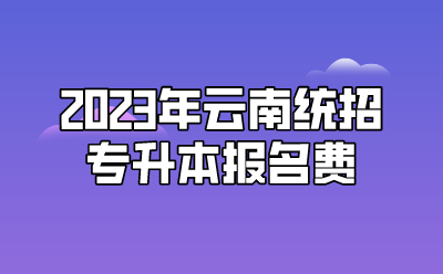 2023年云南統(tǒng)招專升本報名費