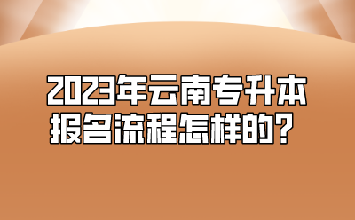 2023年云南專升本報(bào)名流程怎樣的？