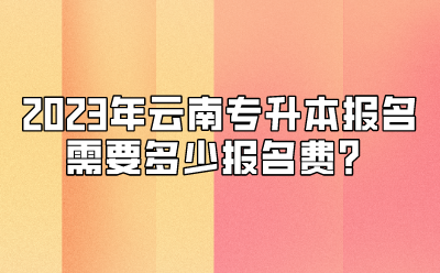 2023年云南專升本報(bào)名需要多少報(bào)名費(fèi)？