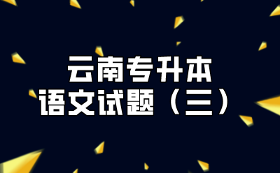 云南專升本語(yǔ)文試題（三）