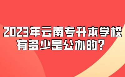 2023年云南專升本學校有多少是公辦的？