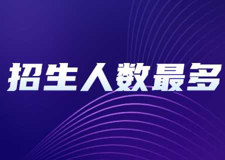 2024年云南專升本招生人數(shù)最多專業(yè)——漢語(yǔ)言文學(xué).jpg