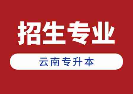 2024年云南專升本招生人數(shù)最多專業(yè)——會(huì)計(jì)學(xué).jpg