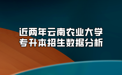 近兩年云南農(nóng)業(yè)大學專升本招生數(shù)據(jù)分析