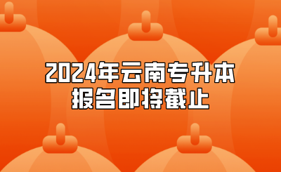2024年云南專(zhuān)升本報(bào)名即將截止