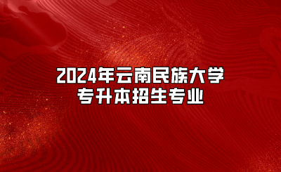 2024年云南民族大學(xué)專升本招生專業(yè)