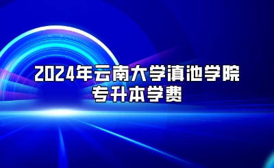 2024年云南大學(xué)滇池學(xué)院專升本學(xué)費(fèi)