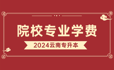 2024年云南藝術(shù)學(xué)院文華學(xué)院專升本學(xué)費