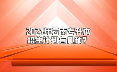 2024年云南專升本招生計(jì)劃