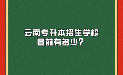 云南專升本招生學校目前有多少？
