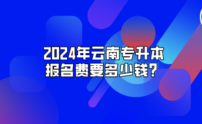 2024年云南專升本報名費(fèi)