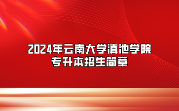 2024年云南大學(xué)滇池學(xué)院專升本招生簡章